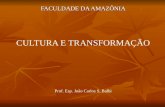Cap 6 cultura e transformação