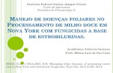 Apresentação do Seminário em Fitopatologia II - Aluno Fabricio Santana