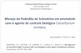 Apresentação Seminário Em Fitopatologia II - Cinthia L.Teixeira Silva
