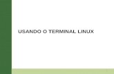 06 terminal linux