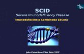 SCID - Sindrome de Inunodeficiência Combinada | Biologia