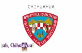Chihuahua turismo uclah