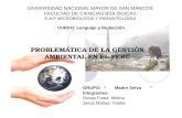 Problematica de la gestion ambiental en el Perú. Grupo 11