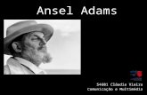 Ansel adams