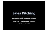 Sales Pitching - Palestra AmCham - Agosto, 2013