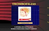 Patologia trombofilia
