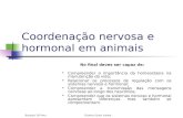 Regulação nervosa e hormonal em animais