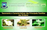 Sistemática Vegetal - Ordens: Magnoliales, Laurales e Piperales.