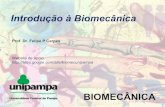 Biomecânica - Aula 2   biomec - terminol mov e revisao