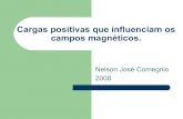 Cargas Positivas Que Influenciam Os Campos MagnéTicos Nelson J Comegnio