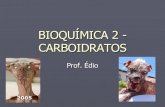 Bioquimica 2   Carboidratos