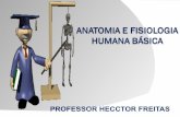 Aula 04 anatomia e fisiologia humana