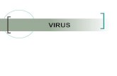 Aula   12 virus