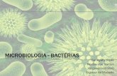 Microbiologia: Bactérias
