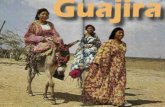 La Guajira.