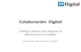 Colaboracion Digital