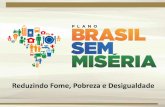 A Experiência Brasileira na Superação da Extrema Pobreza