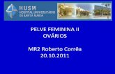 Pelve feminina ii 18.10.11 final