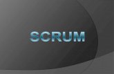Scrum Basics 2008