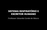 Sistema respiratório e excretor humano