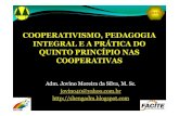 Cooperativismo, pedagogia integral e a prática do quinto princípio nas cooperativas