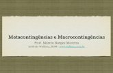 Macrocontingências e Metacontingências