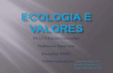 Ecologia e valores