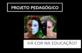 Há cor na educação ( projeto elaborado para o pacto 2013)