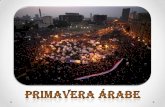 Palestra - Primavera Árabe