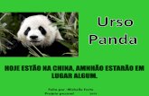 Urso panda Projeto Pessoal