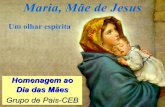 Maria, Mãe de Jesus - um olhar espírita