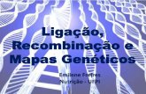 Ligação, recombinação e mapas genéticos