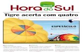 Jornal Hora do Sul 02-05-2012