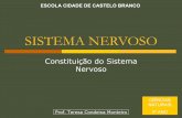 01 SN Constituição do sistema Nervoso Tc 0809