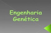 Engenharia Genetica