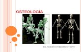 Osteologia [Montalvo]