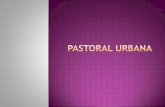 Pastoral urbana aula 01