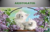 Aristogatos - Martha Medeiros