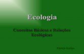 Ecologia com exercícios