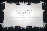 Privacidad e internet