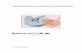 Citologia - Biologia Básica