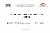 Trabalho de sobre a Borracha Butilica (IIR)