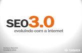 SEO 3.0 - Evoluindo com a Internet - TchêSEO 2011