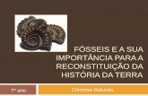 fósseis - 7º ano