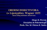 Ordem Insectivora (Mammalia)