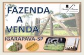 Fazenda a venda em Igarapava-sp - 95,5 hectares.