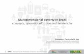 Multidimensional Poverty in Brazil