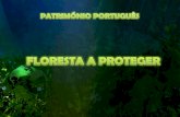 Patrimonio Portugues   Floresta A Proteger