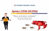 Introdução ao Spider CPM (3)