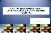 Pacto nacional pela alfabetiza+ç+âo   28-jan pnaic revisado